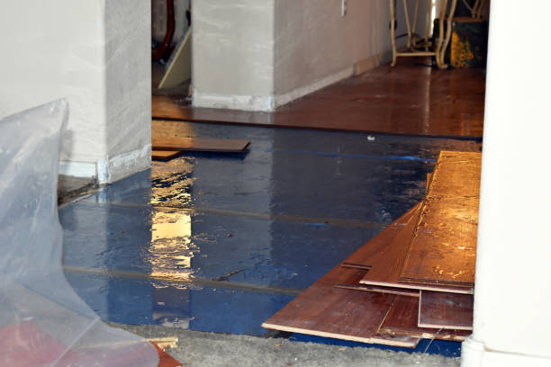 Professional Flood Cleanup technician working in Grandin, ND